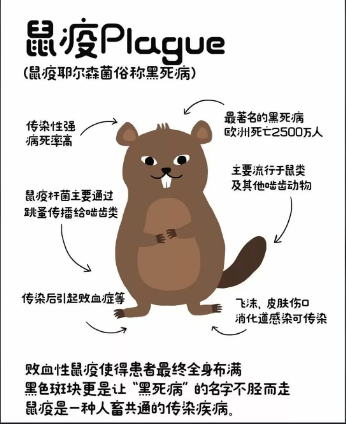 “女子買(mǎi)了100多張粘鼠板，一只老鼠也沒(méi)...